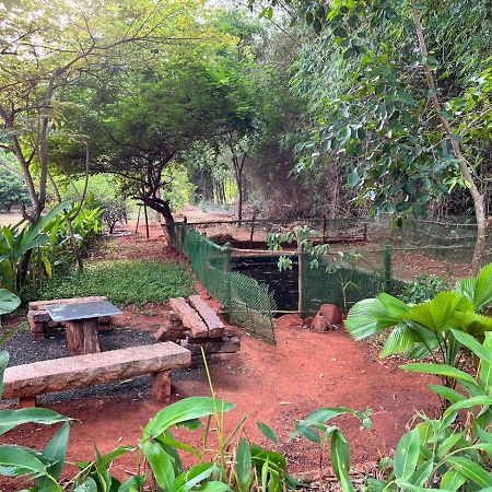 Bougan Villa Auroville Buitenkant foto